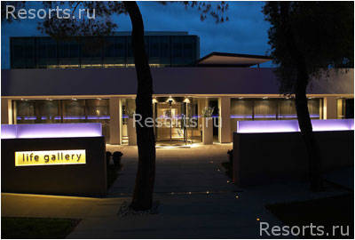 Life Gallery 